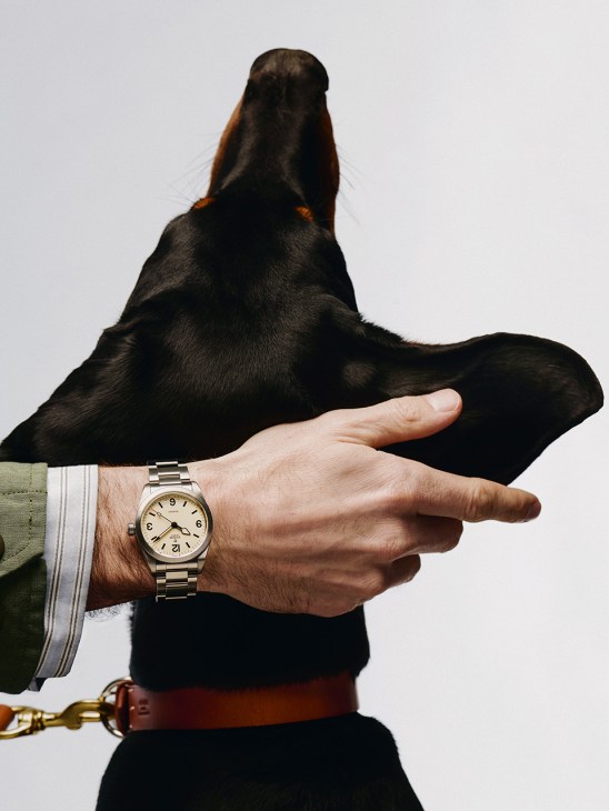 ranger watch by Tudor, dog collar by Hermès