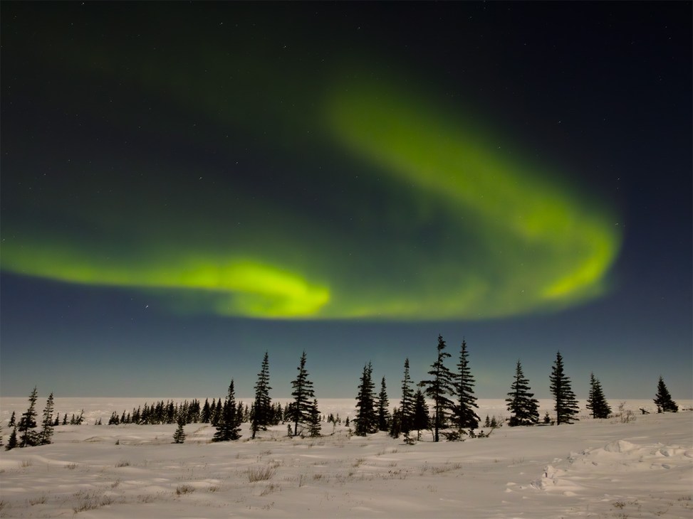 Northern lights above the wilderness outside Churchill