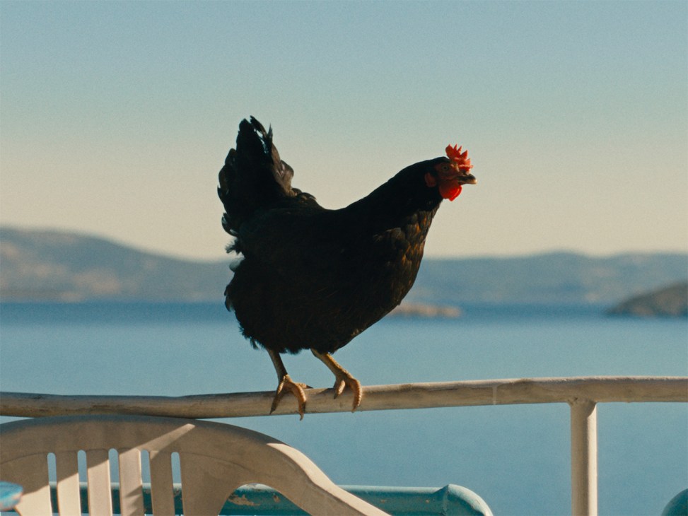 Still from the film 'Hen'