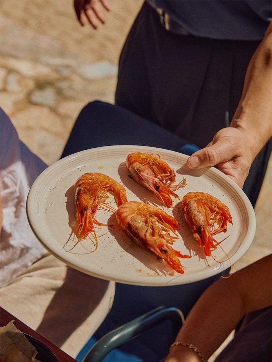 Fresh prawns