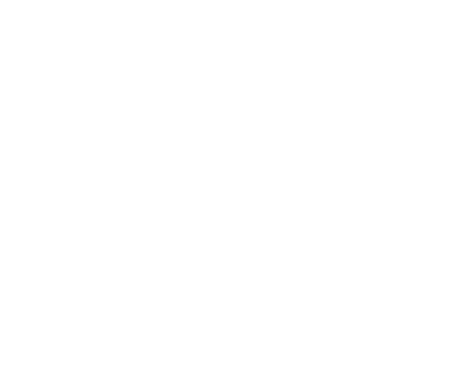 IDM Logo