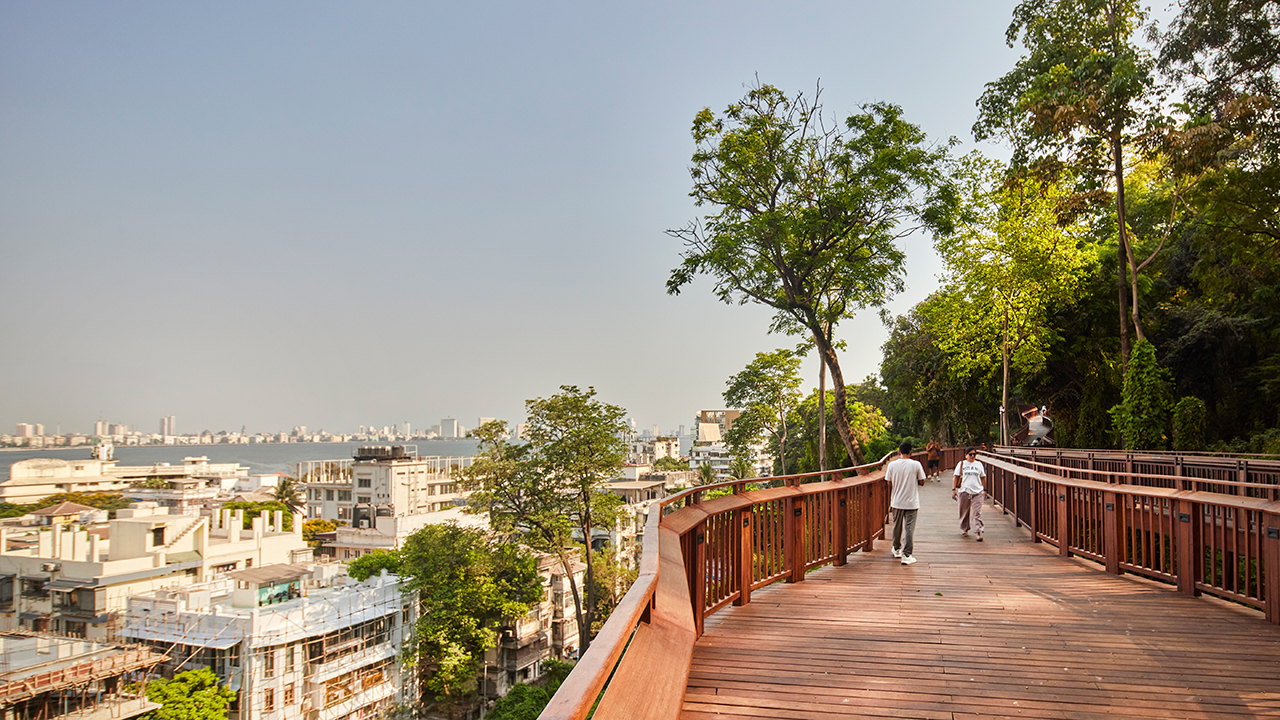Tall Stories 515: Escaping the urban jungle on Mumbai’s Malabar Hill Forest Trail
