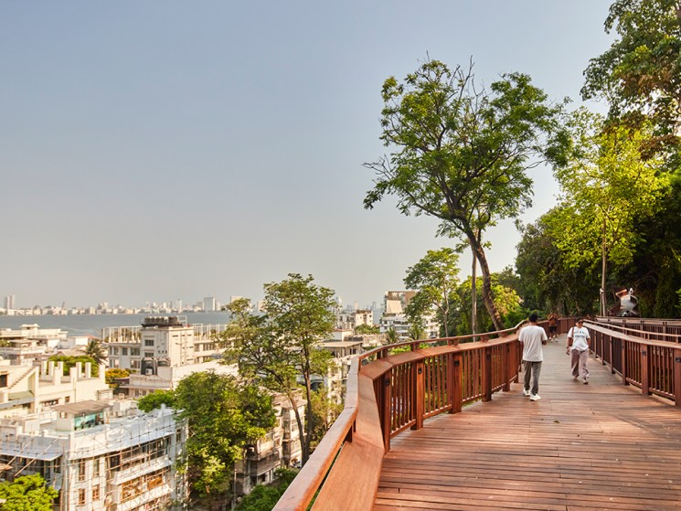 Tall Stories 515: Escaping the urban jungle on Mumbai’s Malabar Hill Forest Trail