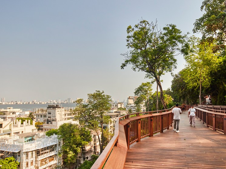 Tall Stories 515: Escaping the urban jungle on Mumbai’s Malabar Hill Forest Trail