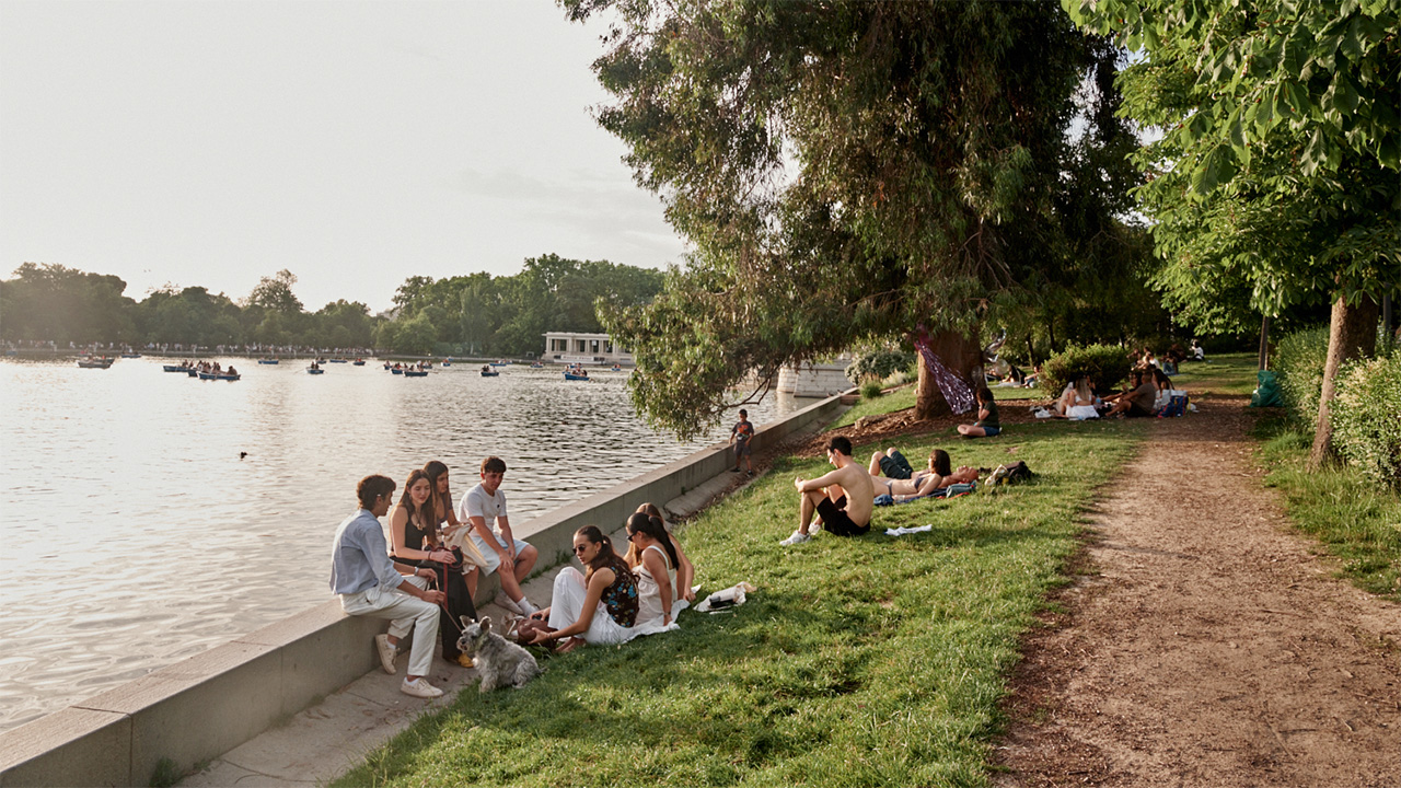 How greenery improves our quality of life