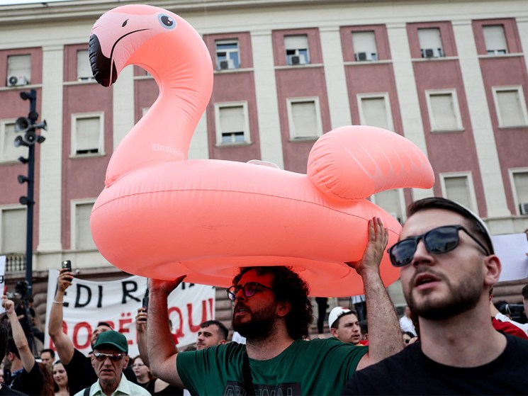 Albania’s flamingo protests take off as anger builds over Jared Kushner’s planned resort development
