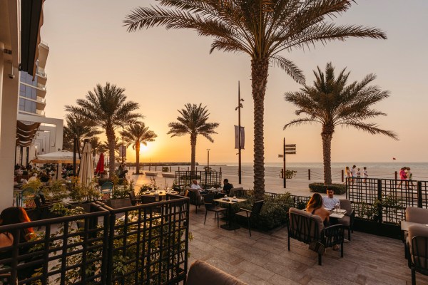 Abu Dhabi palm trees