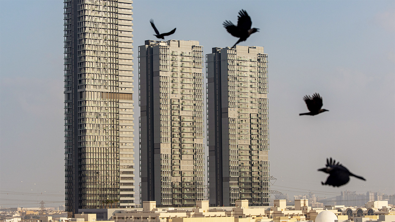 How to support the ecosystems that make up our cities