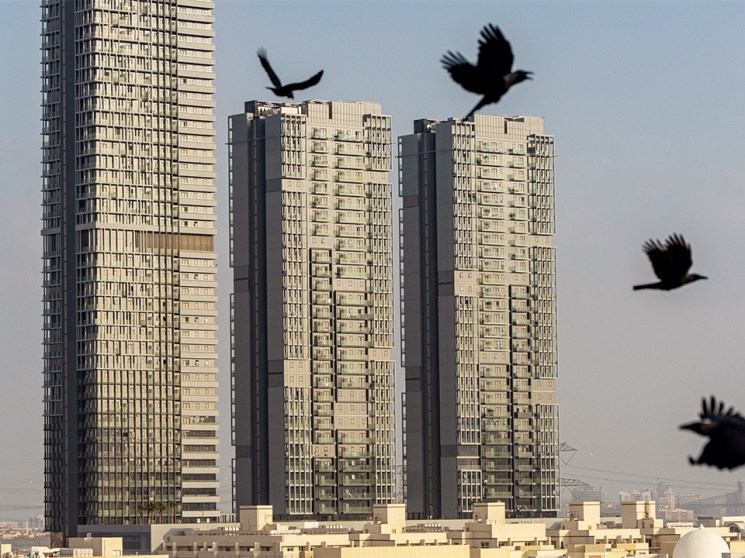 How to support the ecosystems that make up our cities