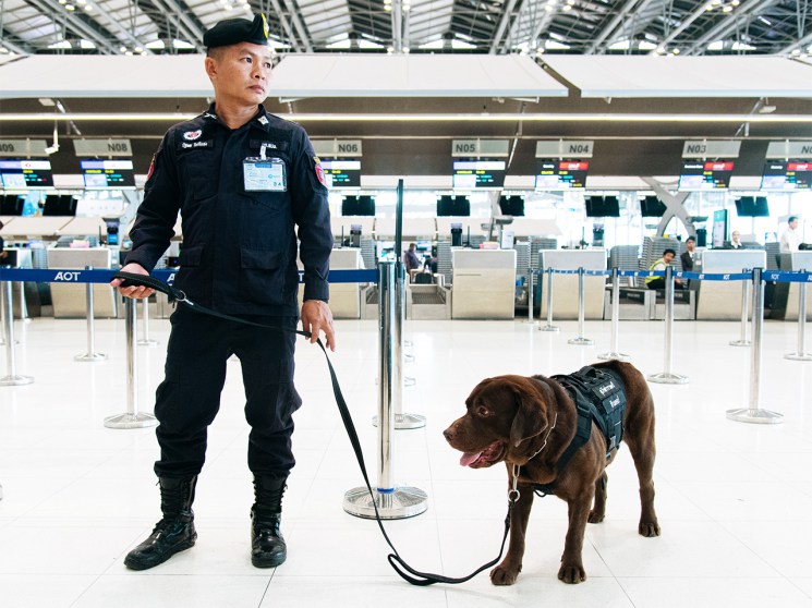 One drug-smuggling scandal shouldn’t bring down brand Thailand