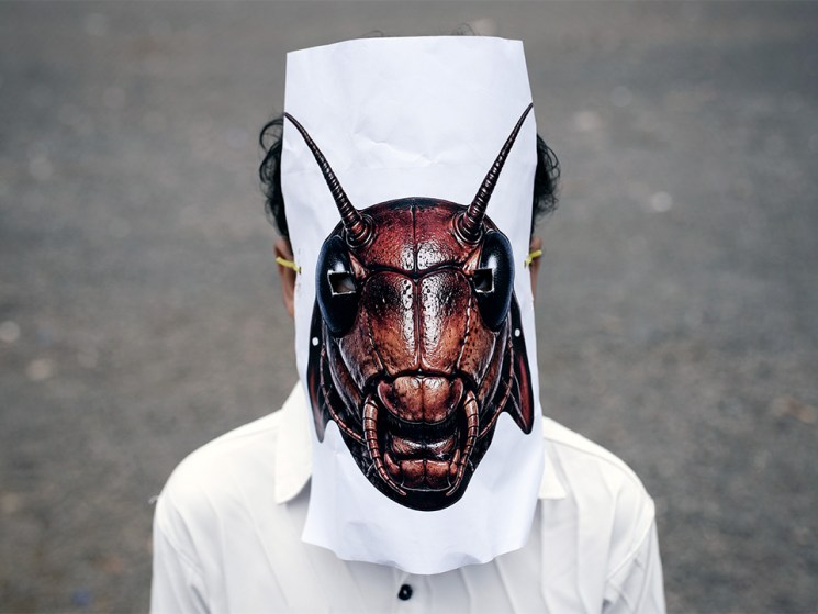 Why are India’s ‘cockroach’ protests proving such a threat to Narendra Modi?