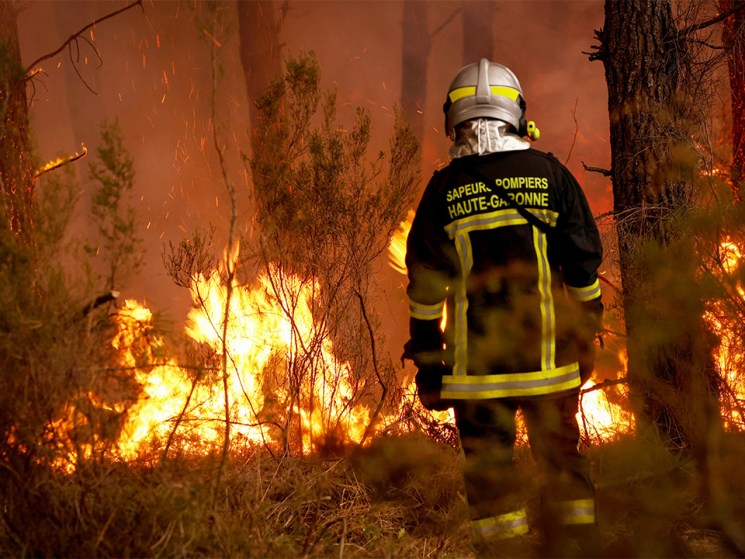 France wildfires: Bordeaux region on alert as flames rage across Gironde