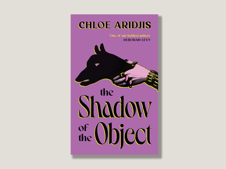 Chloe Aridjis on objects, projection and transformation