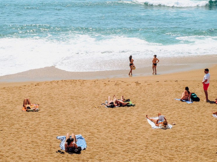 The summer is magic: A collection of sunny songs