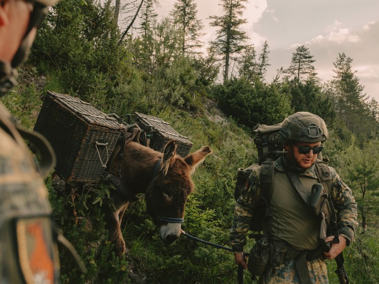 How drone-swerving donkeys are helping Austria’s military improve its stealth tactics