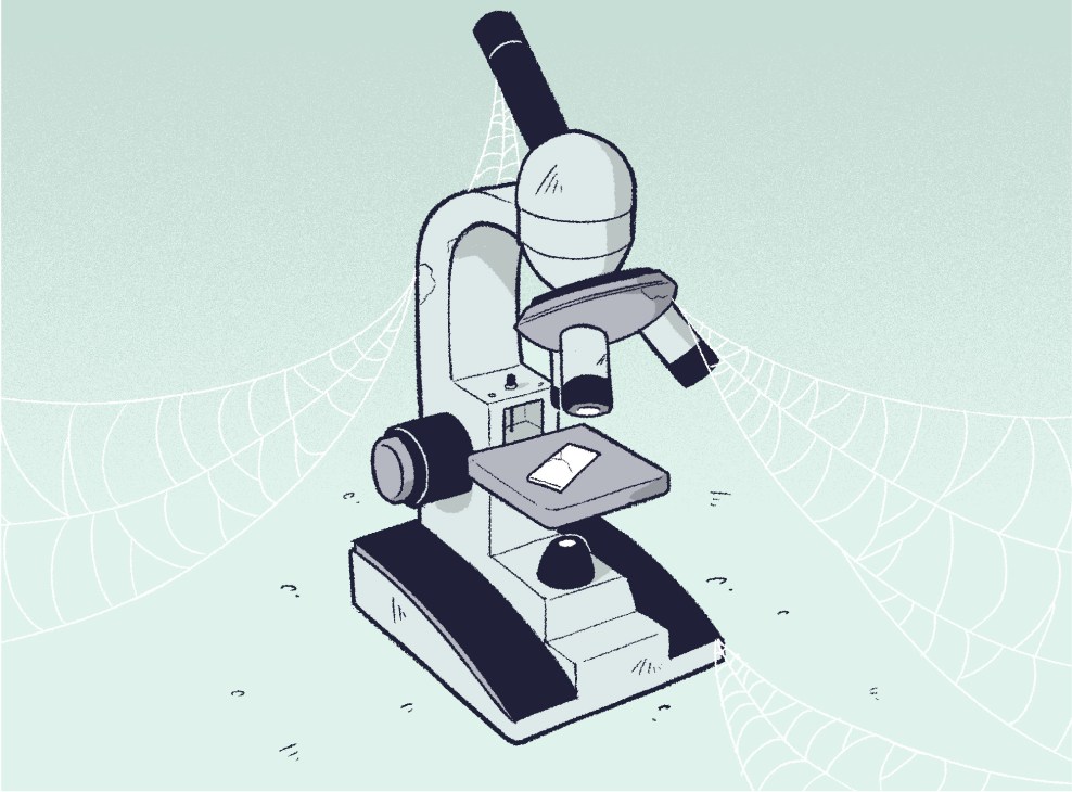 Illustration of a microscope with spider webs in the background, symbolizing declining interest in STEM fields.