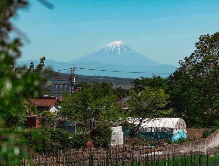 Time flows slowly in Hakushū, giving you plenty of time to stop and sip the saké