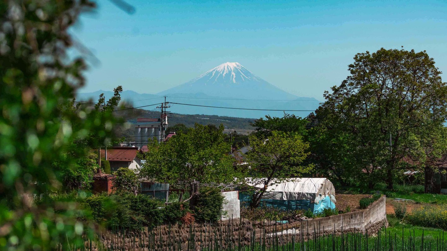 Time flows slowly in Hakushū, giving you plenty of time to stop and sip the saké