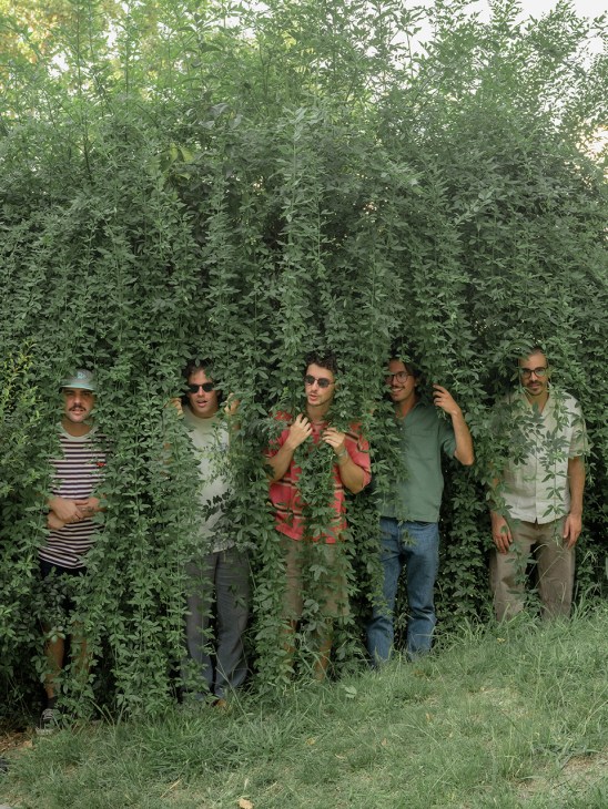 Five members of Portuguese band Napa standing in front of tall green plants and vines.