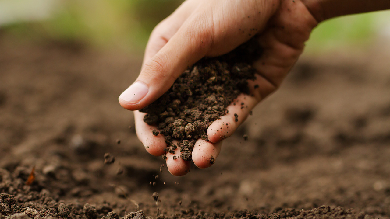 Global Visionaries special: Dan Grotsky, co-founder of Groundwork BioAg
