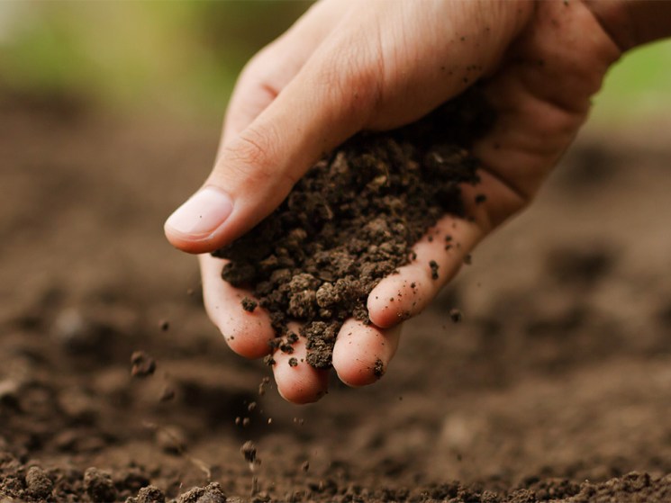 Global Visionaries special: Dan Grotsky, co-founder of Groundwork BioAg