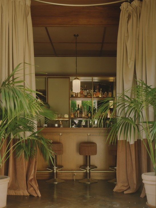 Modern bar interior with wooden ceiling, cream curtains, potted plants, and shelving displaying bottles behind the counter.