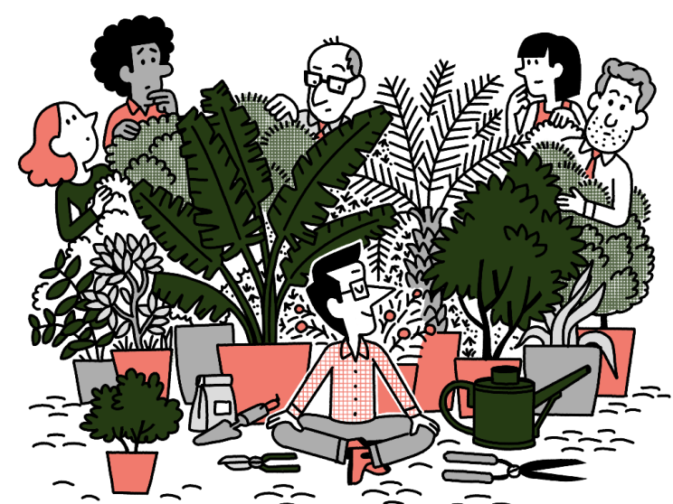 Need an antidote to our times? Sow a garden, reap the rewards 