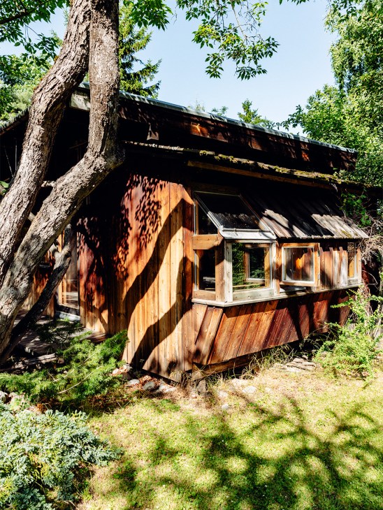 Wooden extension to a modernist house nestled beneath a large tree with dappled sunlight.