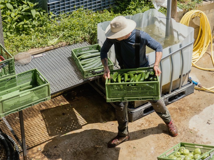 Meet the man feeding Paris from a single supply chain and an unmechanised farm