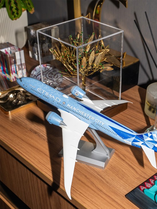 Blue Etihad Airways model airplane on wooden desk with office decor and plants