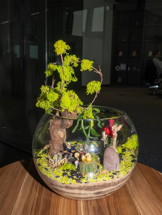 Glass terrarium with moss, miniature plants, and decorative elements on wooden surface.