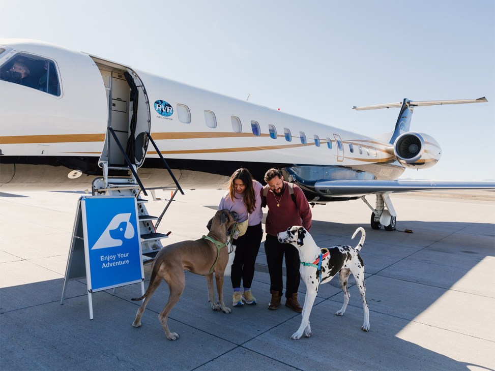 Dogs outside pet-carrying flight service RetrievAir