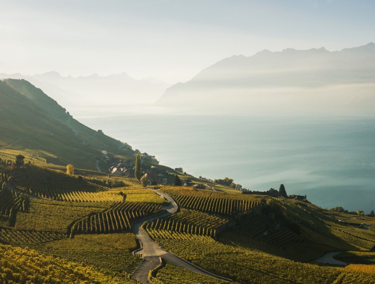 The culinary grand tour: Taste the many flavours of Switzerland