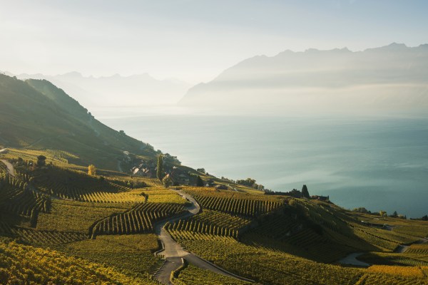 The culinary grand tour: Taste the many flavours of Switzerland
