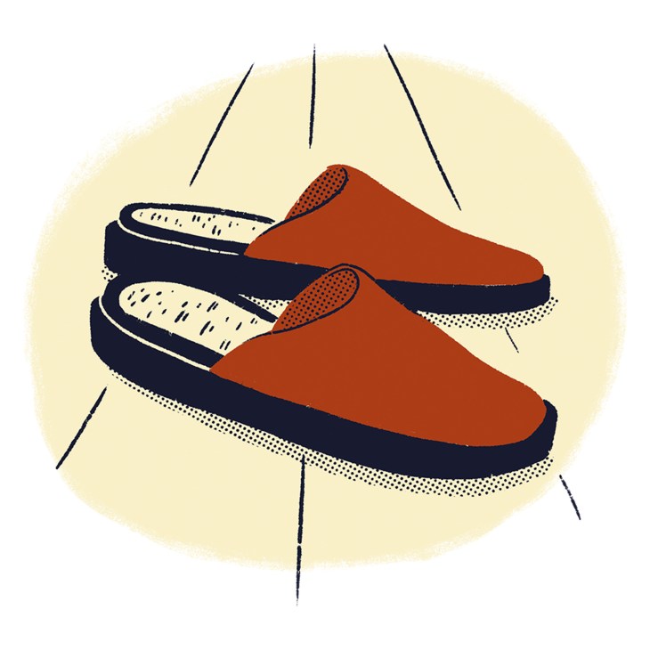Illustration of two rust-red and navy leather slippers with textured soles hanging from strings.