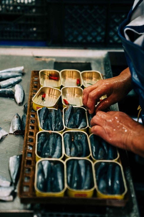 Tinned fish