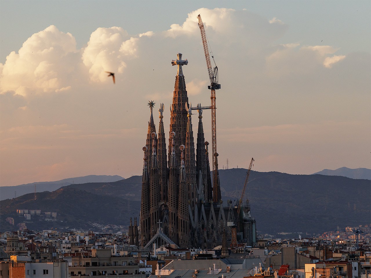 Amid pilgrimages to the now-complete Sagrada Família, ‘God’s architect’ Antoni Gaudí’s path to sainthood feels set
