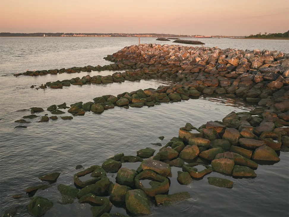 Rocky breakwater structures extending into New York Harbor at sunset with moss-covered boulders and coastal cityscape in background.
