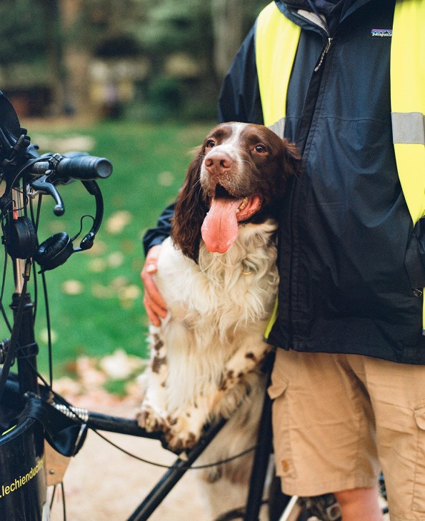 A brown and white spaniel with tongue out stands beside a person wearing a navy and yellow Patagonia jacket in a park setting.