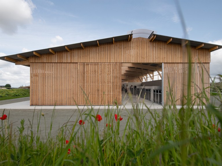 Modern wooden stable building with large open entrance, red poppies in foreground, designed by Carmen Maurice Architecture.