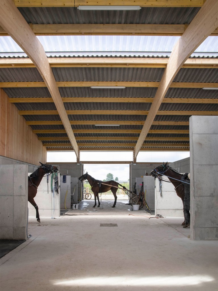 Interior of a modern stable with wooden beams, concrete stalls, and three saddled horses in a minimalist architectural space.