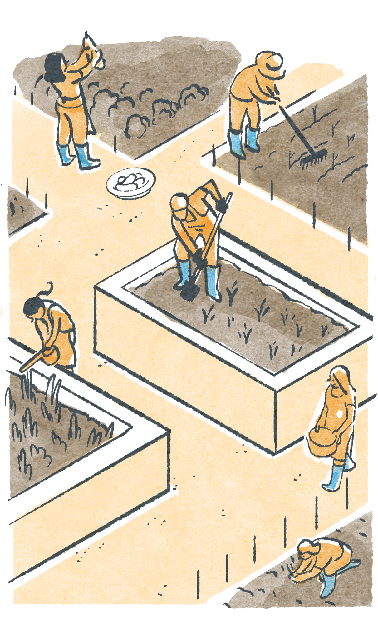 Illustration of people tending to raised garden beds with soil and plants.