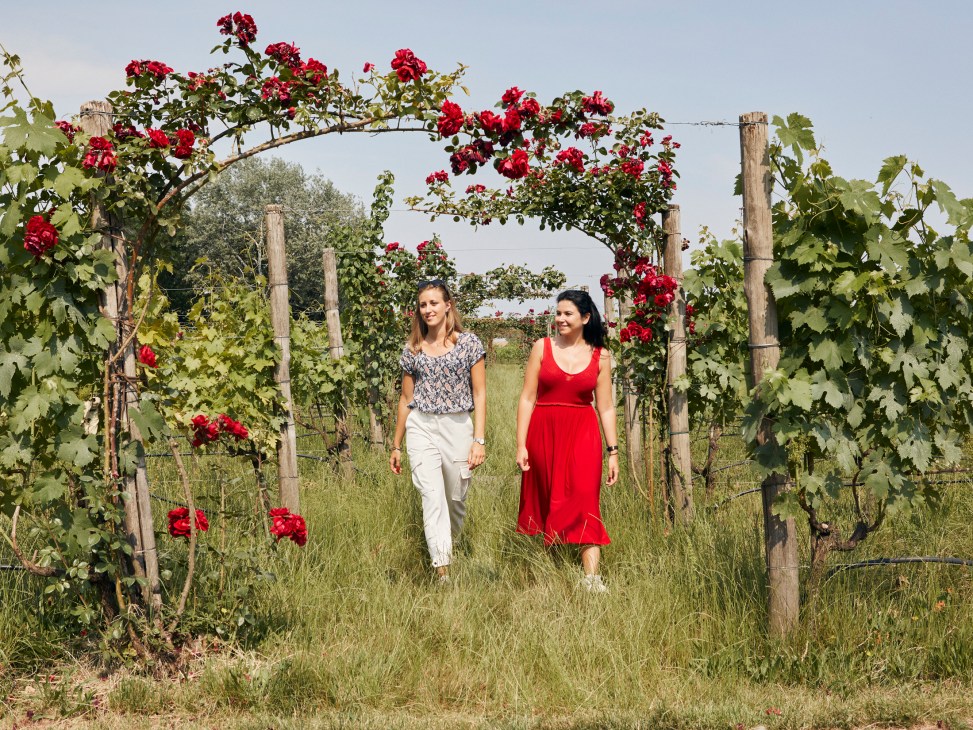 Two women walking through vineyard rows with red roses on wooden arch at Venissa estate
