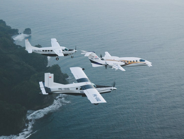 Jungle flyer