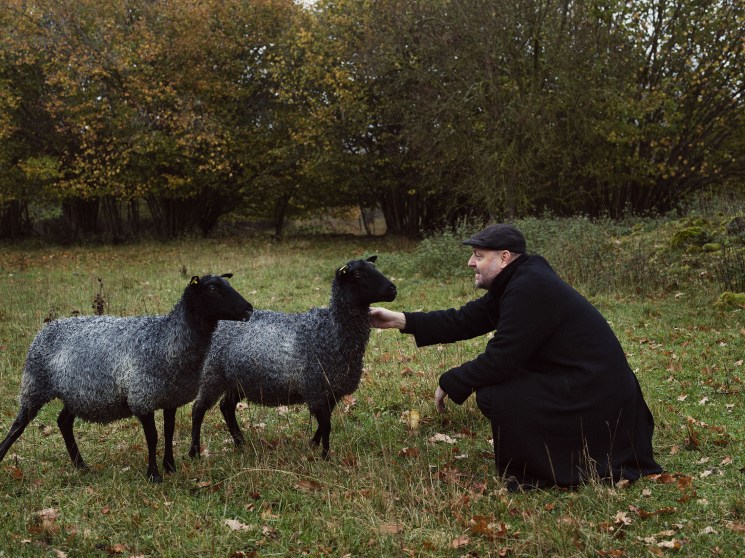A man in dark clothing kneels beside two dark woolly sheep in an autumn field with trees in the background
