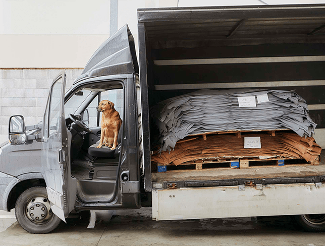 Inside the Tuscany tannery shaping luxury leather for LVMH