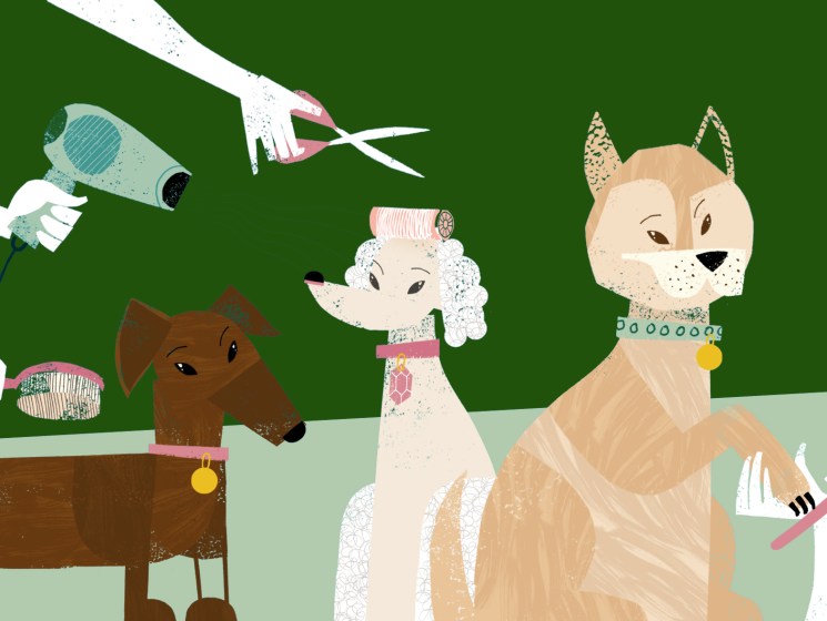 Dogs and new tricks
