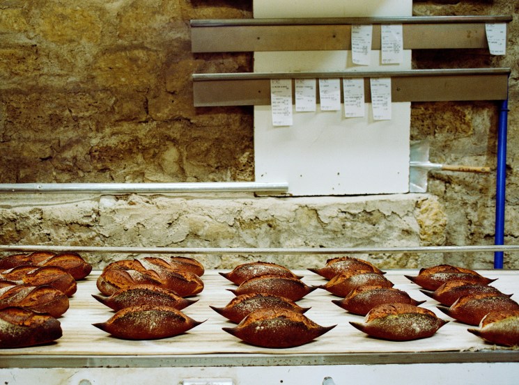 Early to bread