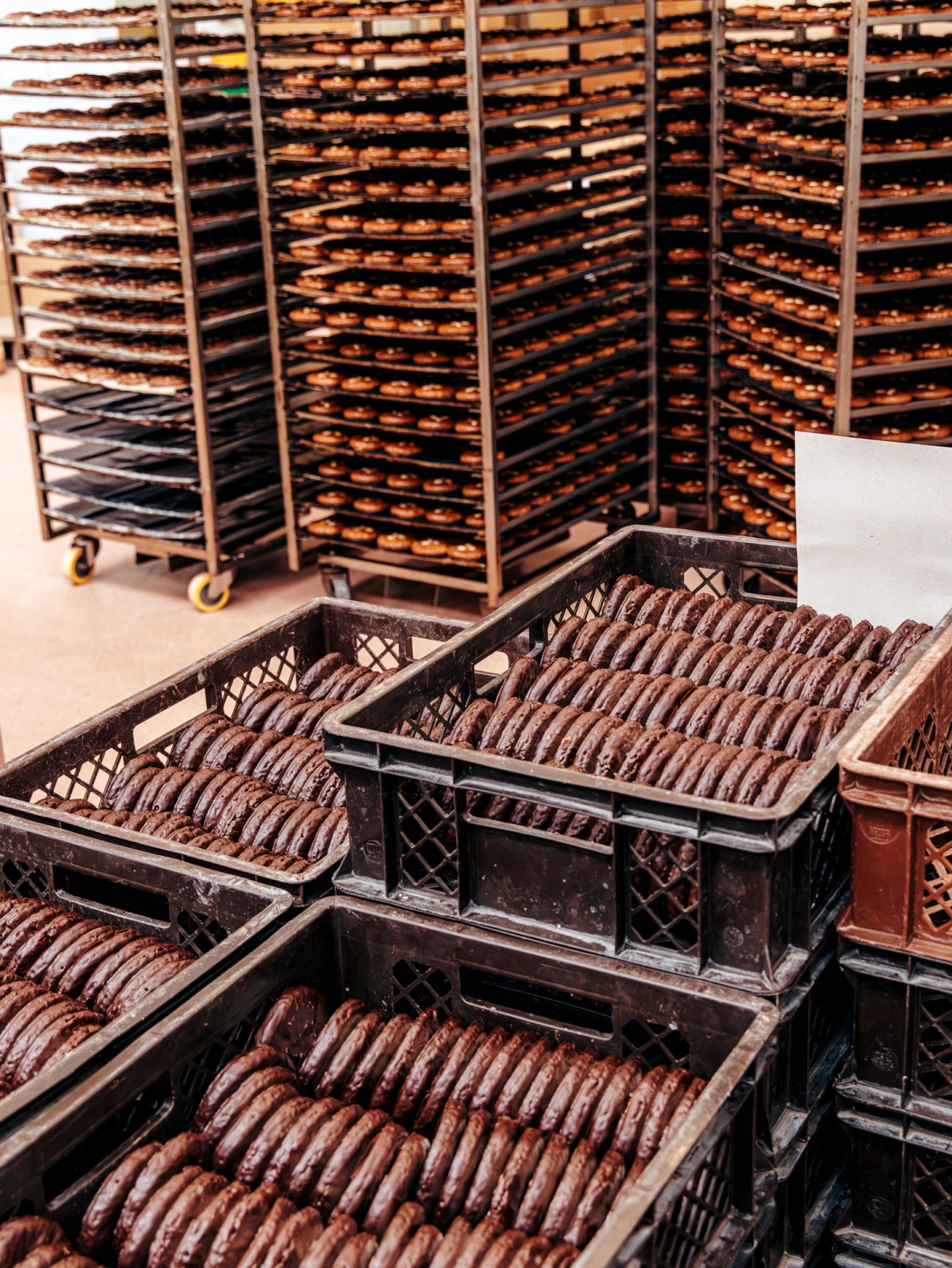 Industrial baking racks filled with freshly made Lebkuchen gingerbread cookies cooling in plastic crates