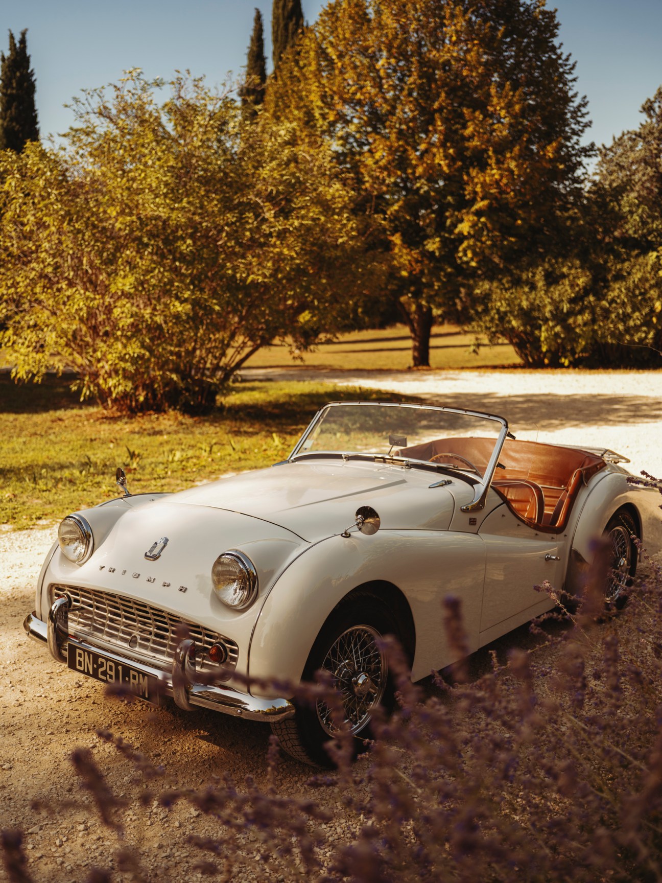 Use four wheels to navigate the region – this car is a triumph of holiday transport